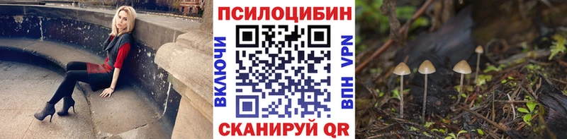 наркотики Баксан Галлюциногенные грибы мицелий