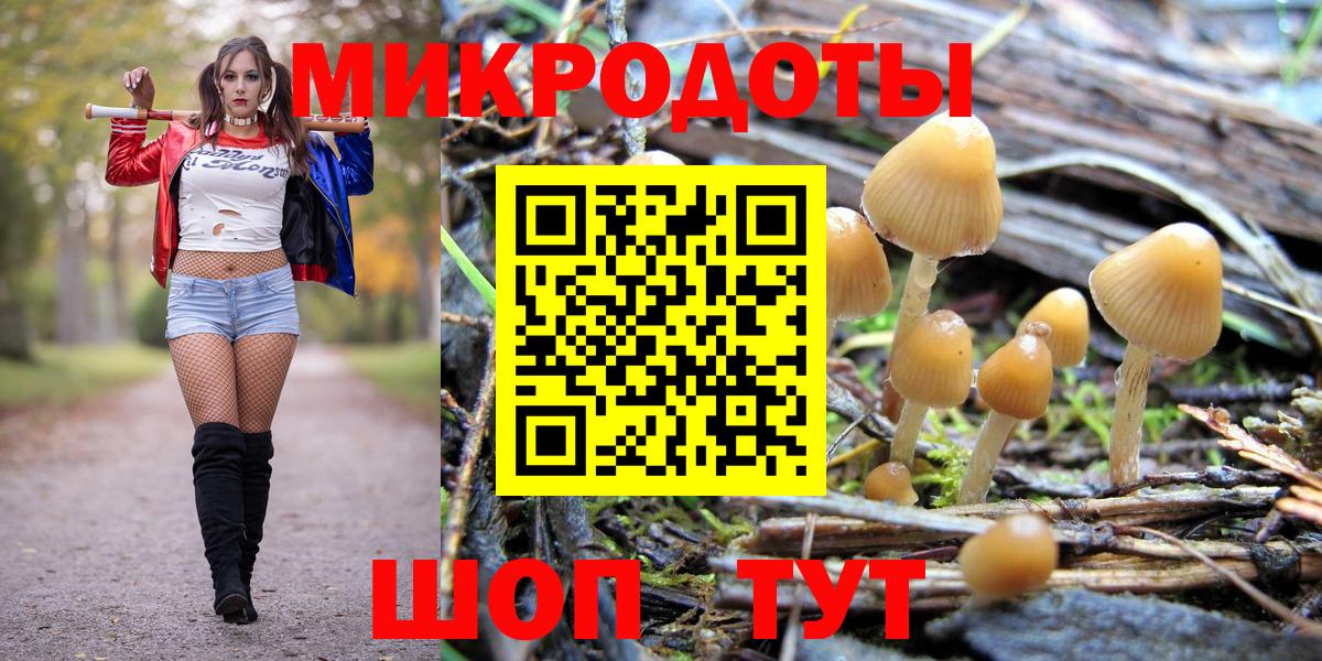 купить закладку  Псилоцибиновые грибы MAGIC MUSHROOMS  Галлюциногенные грибы MAGIC MUSHROOMS  Вход с VPN  Баксан 